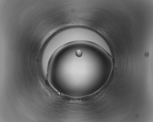 X0000113250440200909241615