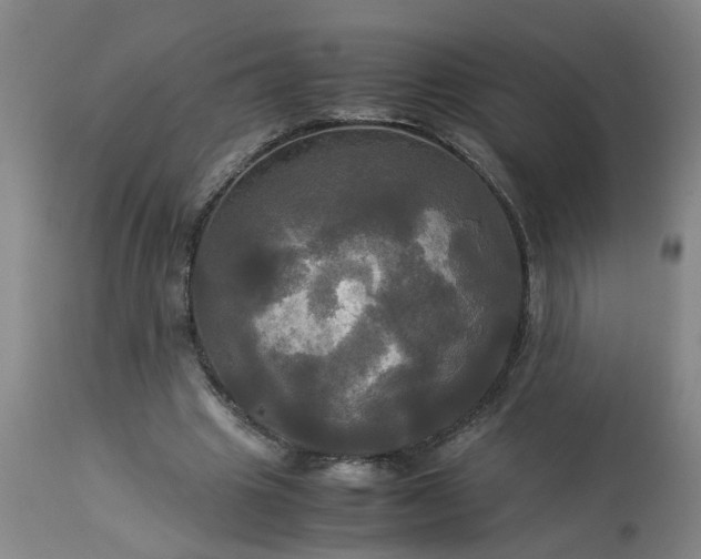 X0000113250441200909241615