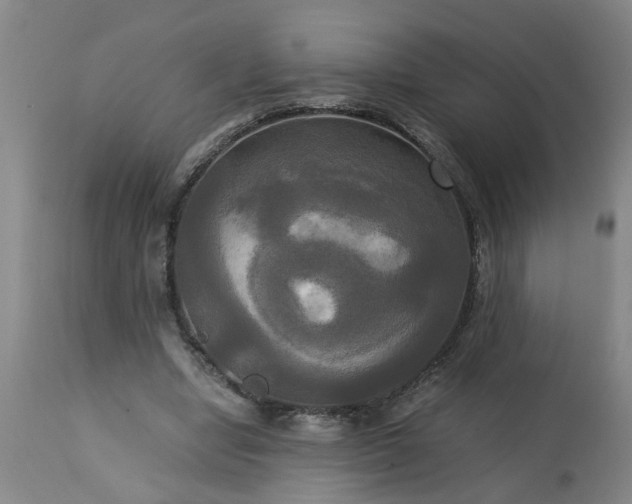 X0000113250442200909241615