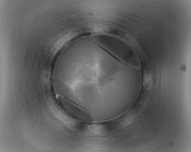 X0000113250444200909241615