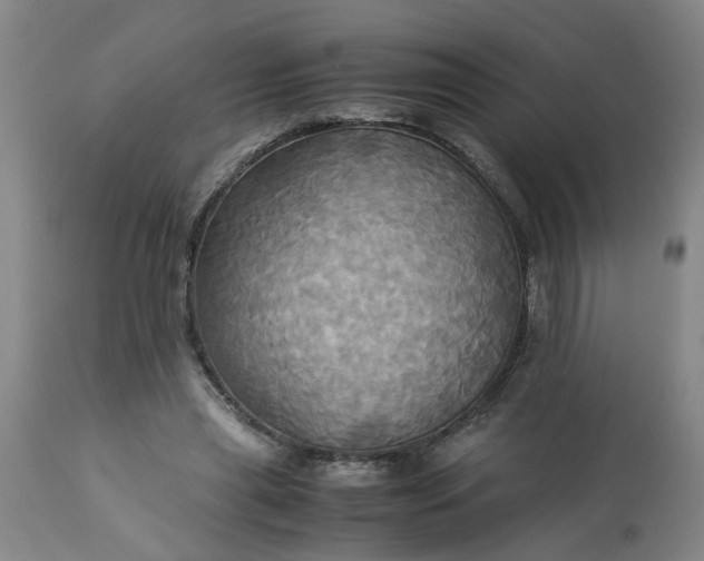 X0000113250445200909241615