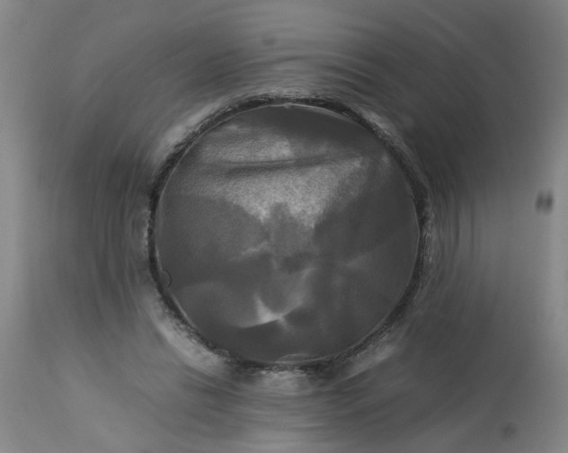 X0000113250446200909241615