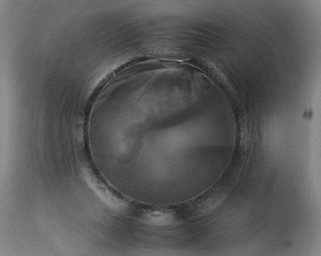 X0000113250447200909241615