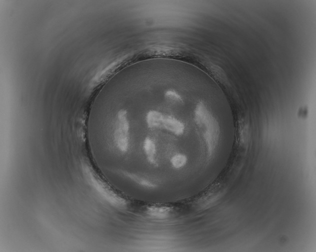 X0000113250450200909241615