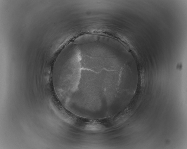 X0000113250451200909241615