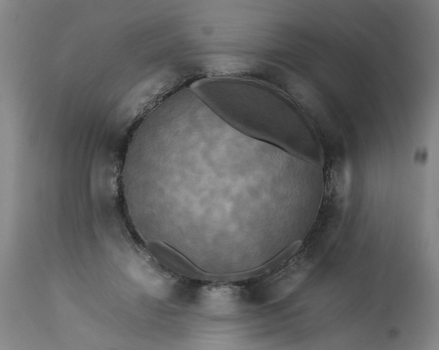 X0000113250452200909241615