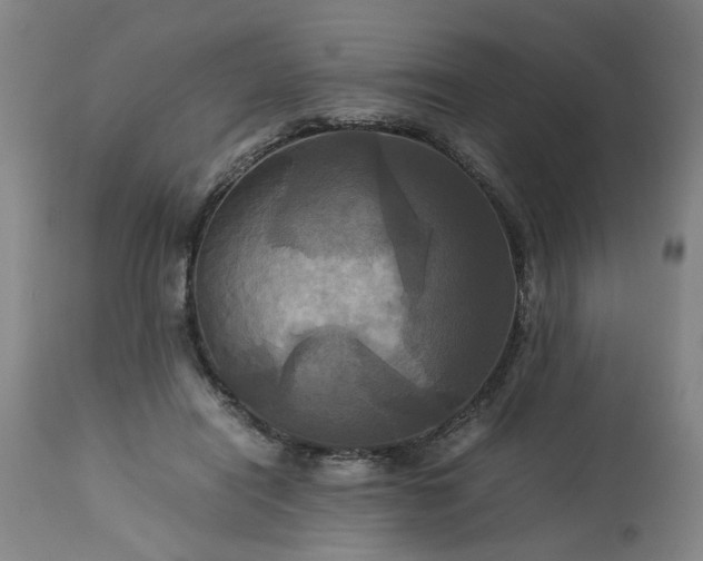 X0000113250454200909241615