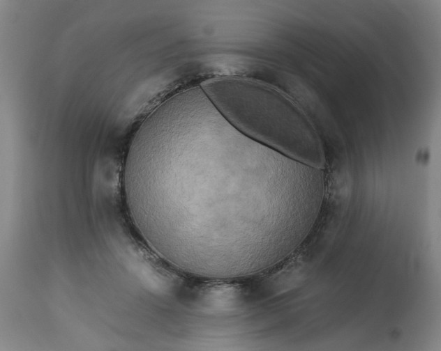 X0000113250456200909241615