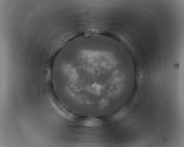 X0000113250459200909241615