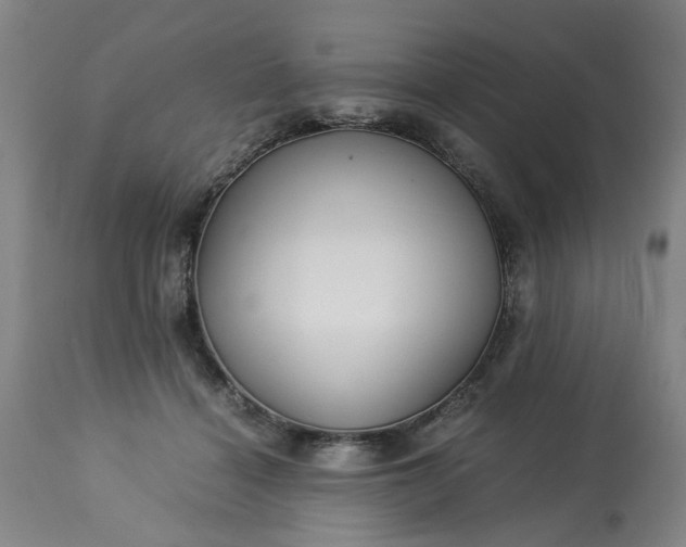 X0000113250460200909241615