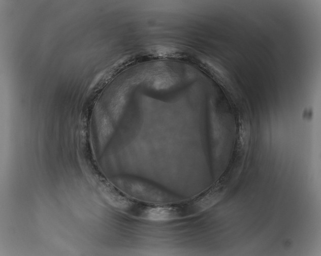 X0000113250461200909241615