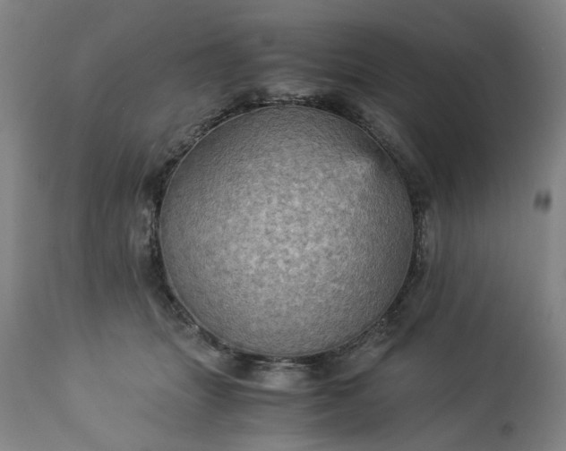 X0000113250463200909241616