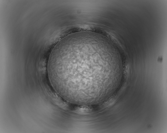 X0000113250466200909241616