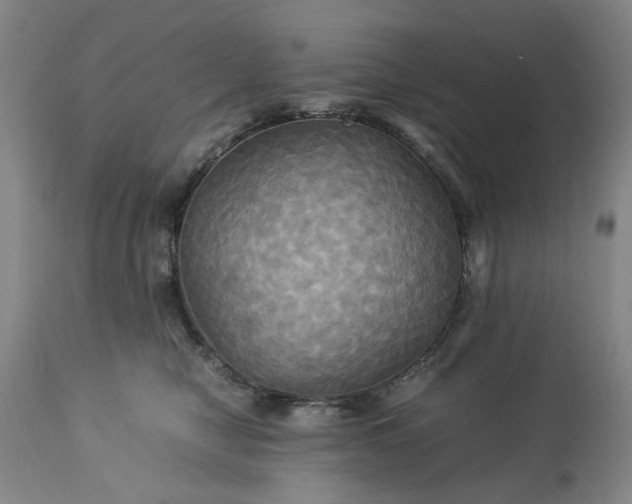 X0000113250470200909241616