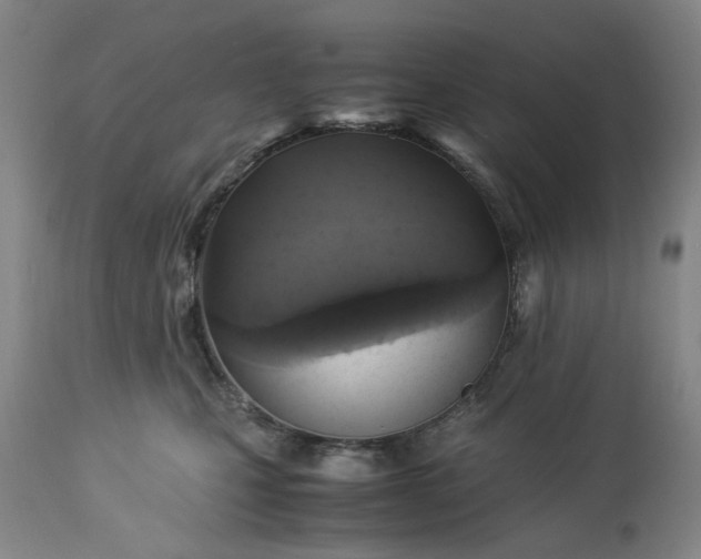 X0000113250471200909241616