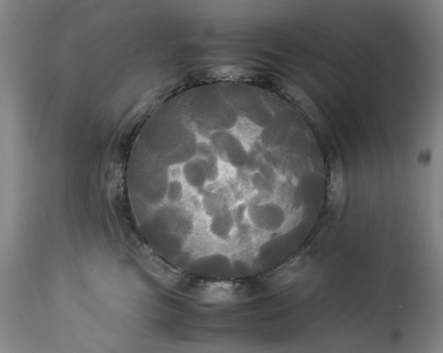 X0000113250473200909241616