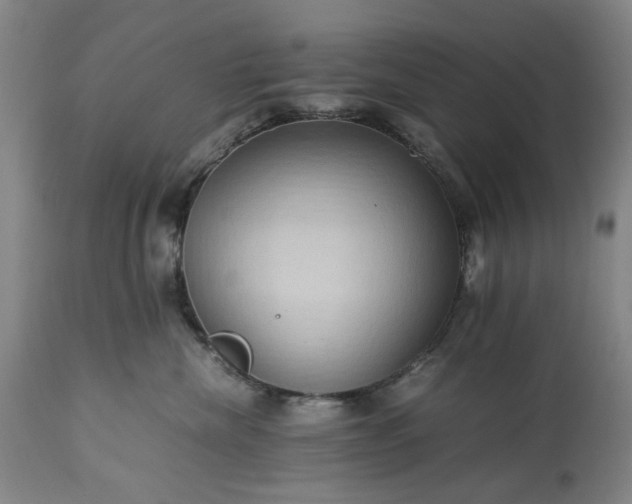 X0000113250476200909241616