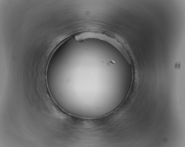 X0000113250481200909241615