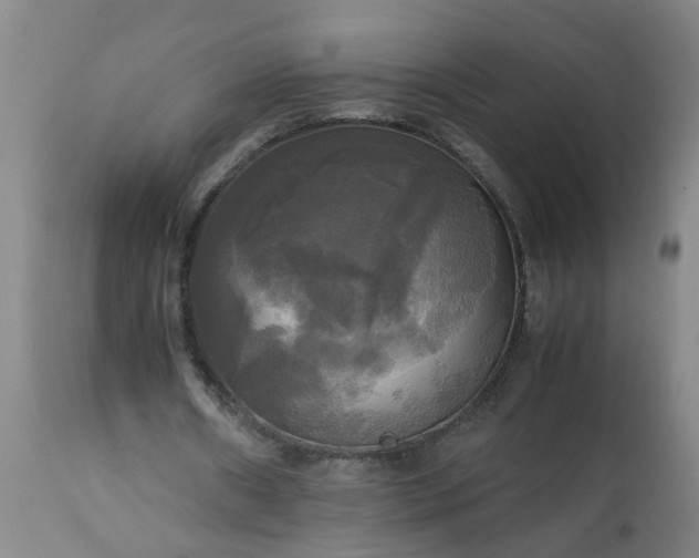 X0000113250482200909241615