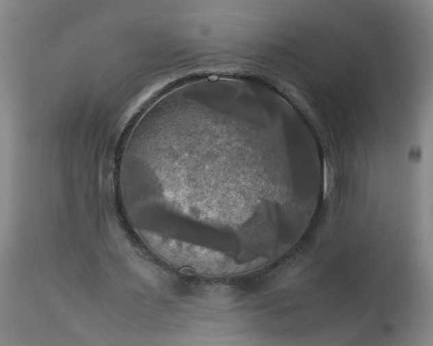 X0000113250483200909241615