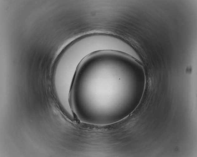 X0000113250484200909241615