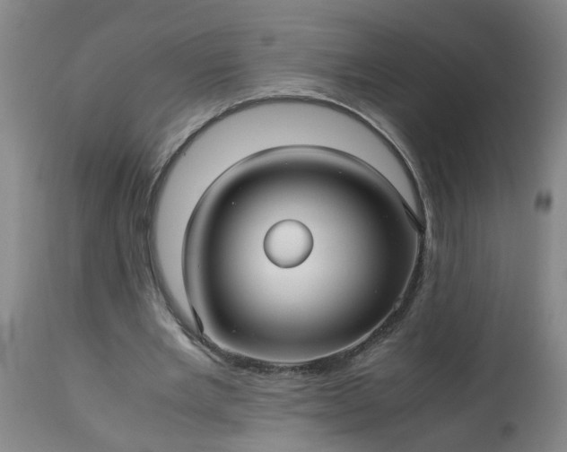 X0000113250485200909241615