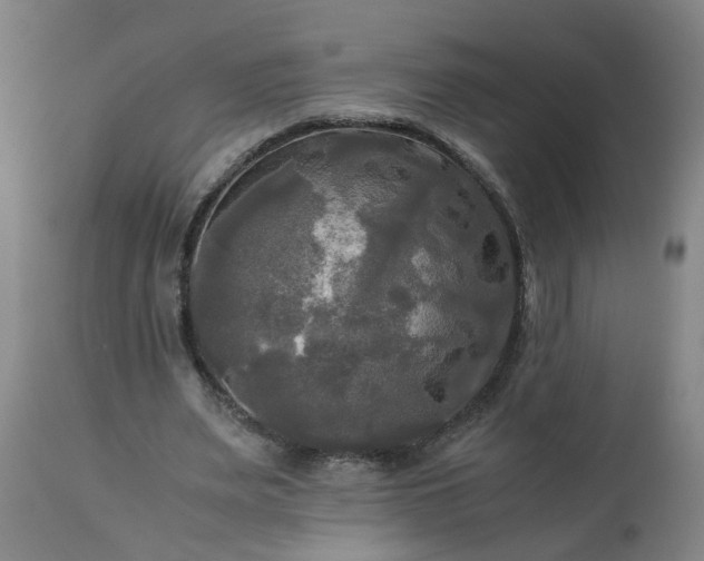 X0000113250487200909241615