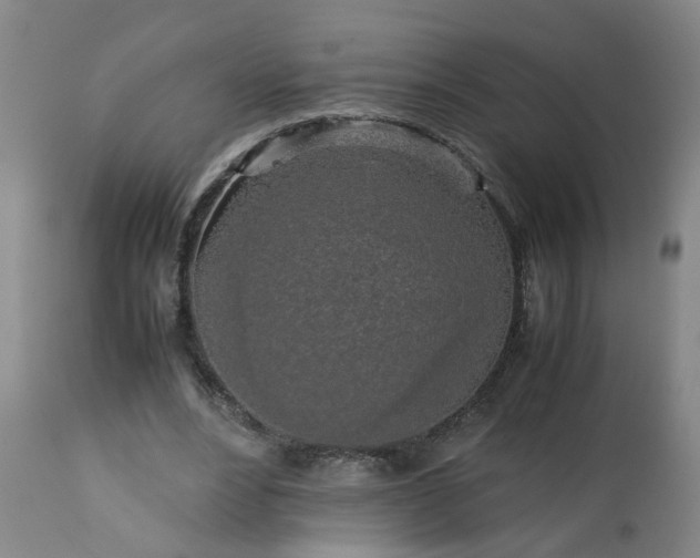 X0000113250488200909241615