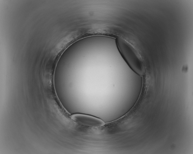 X0000113250489200909241615