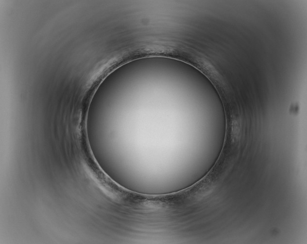 X0000113250490200909241615