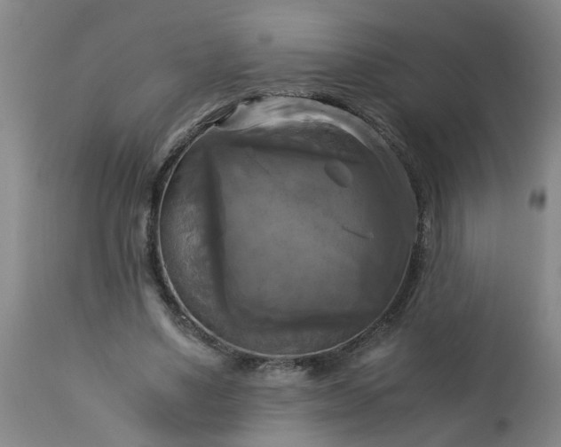 X0000113250491200909241615