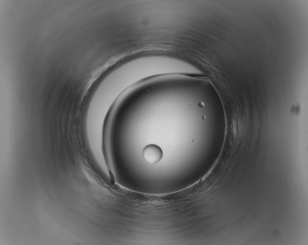 X0000113250492200909241615