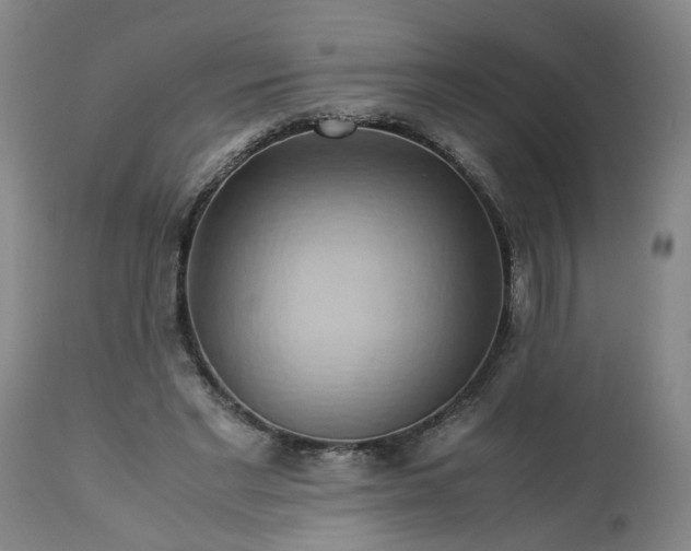 X0000113250493200909241615