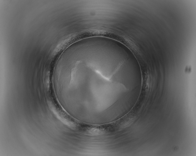 X0000113250494200909241615