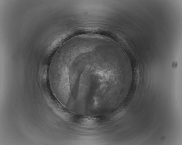 X0000113250495200909241615