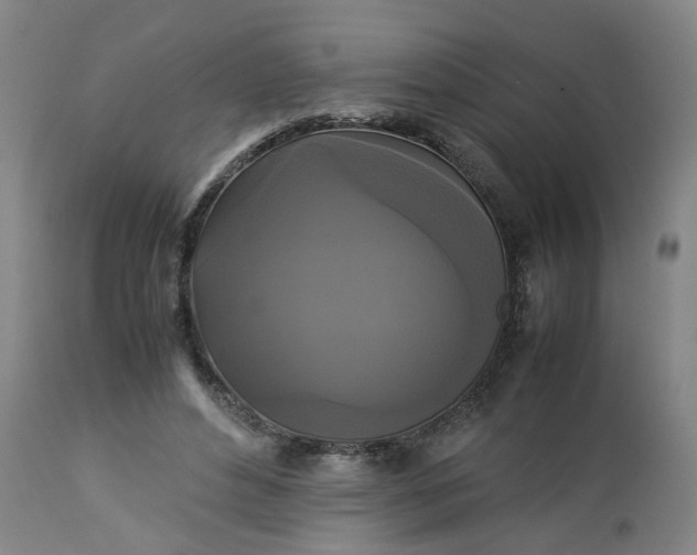 X0000113250496200909241615