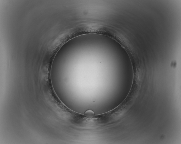 X0000113250497200909241615