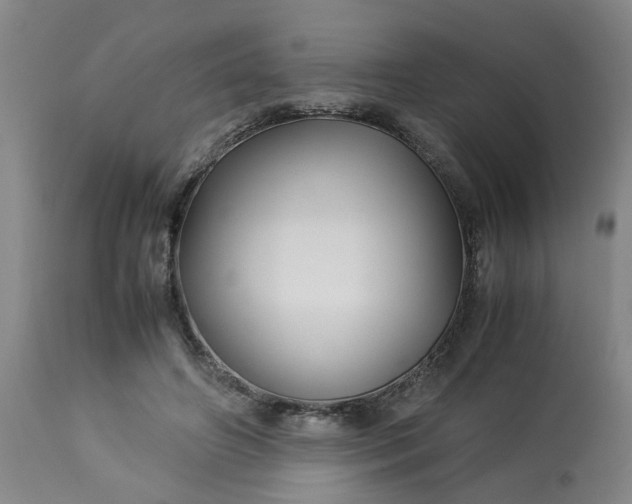 X0000113250498200909241615