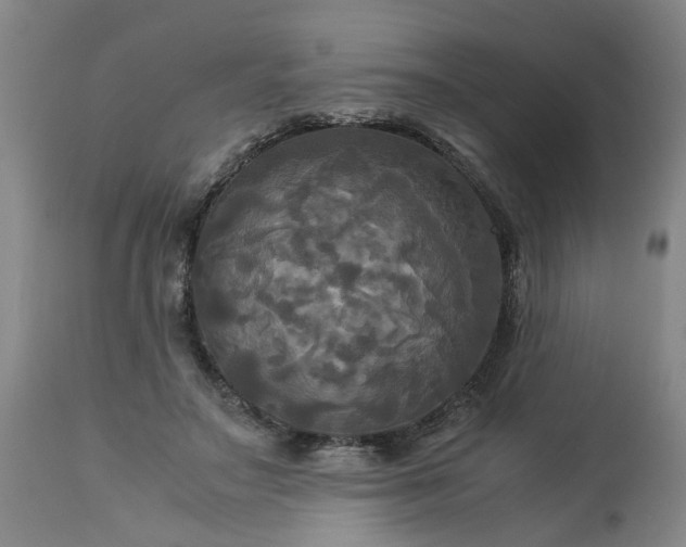 X0000113250499200909241615