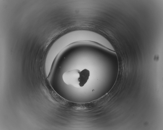 X0000113250500200909241615