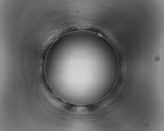 X0000113250501200909241615