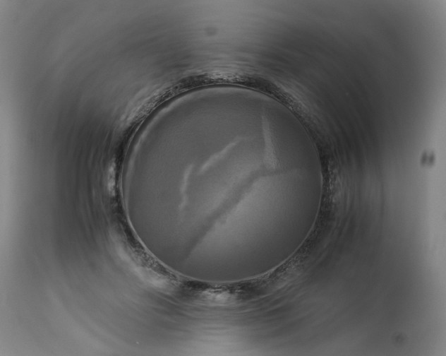 X0000113250502200909241615