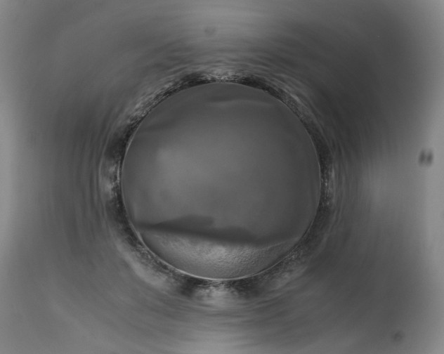 X0000113250503200909241615