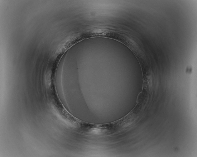 X0000113250504200909241615