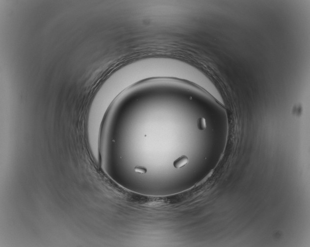 X0000113250505200909241615