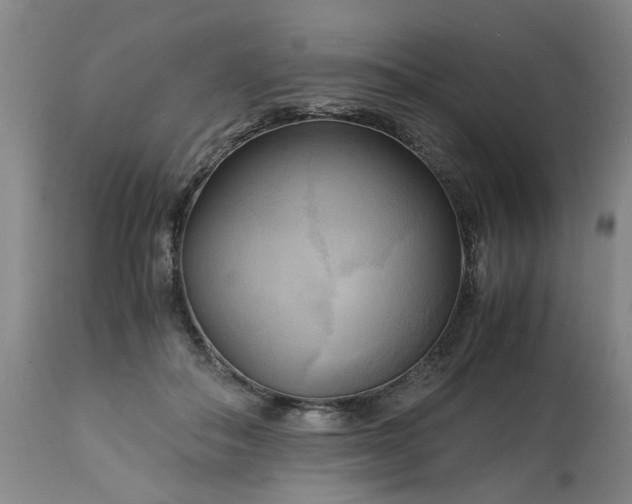 X0000113250506200909241615