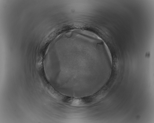 X0000113250507200909241615