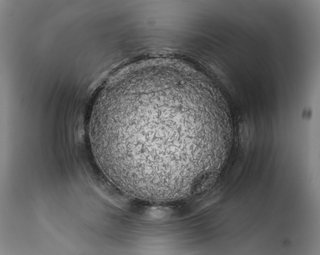 X0000113250508200909241615