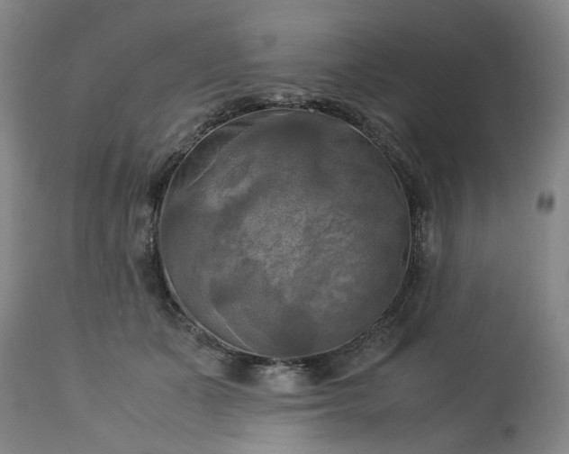 X0000113250511200909241614