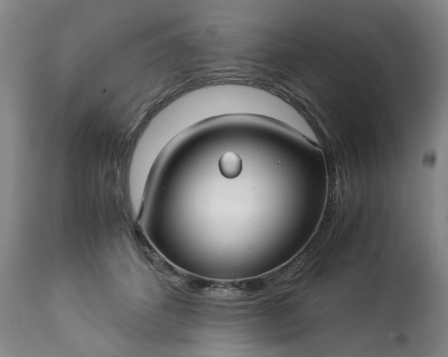 X0000113250512200909241614